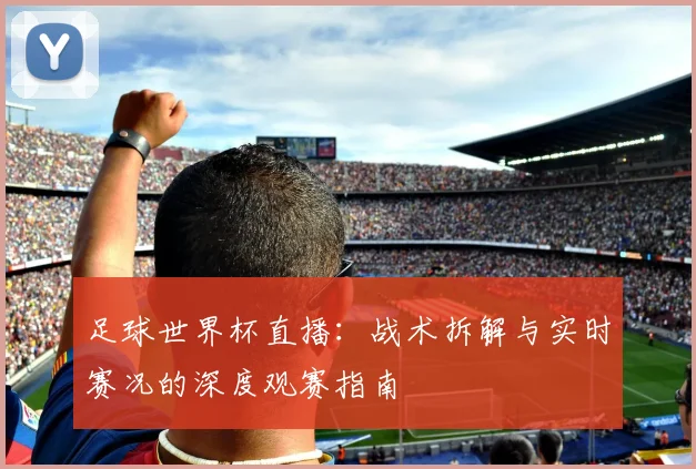 足球世界杯直播:战术拆解与实时赛况的深度观赛指南